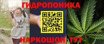 прущий лед Будённовск